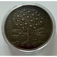 1 рубль 2009 г.  Спасы.   Беларусь