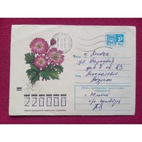 Конверт. Цветы! Новикова 1973 г.