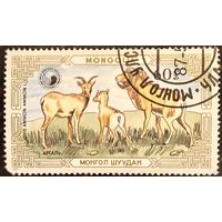 Монголия 1987. Горные бараны. Ovis Ammon. Марка из серии