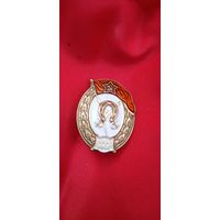 Знак Кавалерийское  Военное училище торги