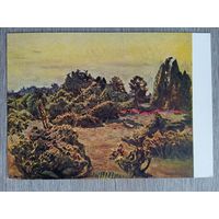 1957. Китс. Можжевельник