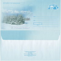 Беларусь 2005 С Новым годом! (к4)