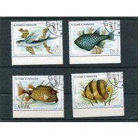 Сан Томе и Принсипи. Морская фауна. Рыбы