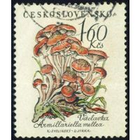 Грибы Чехословакия 1958 год 1 марка