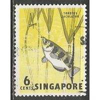 Сингапур. Рыбы. Бризгун полосатый. 1962г. Mi#57.