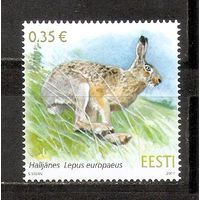 ФФ1 Эстония 2011 Заяц стандарт