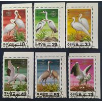 КНДР 1991 птицы.