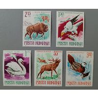 Фауна. Румыния, 1977, с клеем