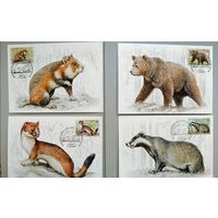 Картмаксимум "Млекопитающие", Беларусь, 2017 г.
