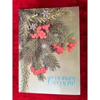 С Новым годом! Подписана. 1987 год. И. Дергилева.