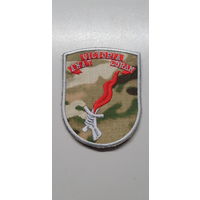 Шеврон 33 отдельный отряд специального назначения ССО Беларусь