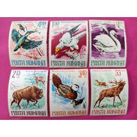 Румыния. Фауна. ( 6 марок ) 1977 года. 3-4.