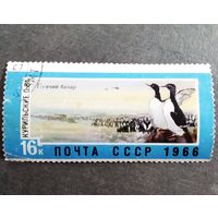 Марка СССР 1966 год Дальний Восток