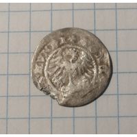 Монета Полгроша, серебро,1508г, Сигизмунд l, Королевство Польское