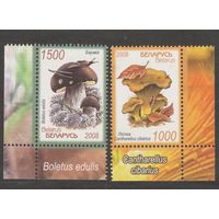 Беларусь. 2008 г. Флора. Съедобные грибы. Боровик. Лисички. **