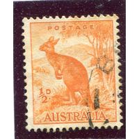 Австралия. Стандарт. Фауна. Большой рыжий кенгуру