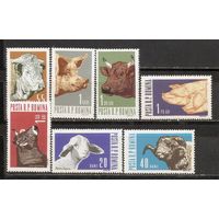 ФФ1 Румыния 1962 Животноводство