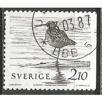 Швеция. Средний кроншнеп. 1986г. Mi#1377.