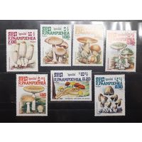 Камбоджа. 1985 год. Флора. Грибы (956)