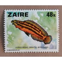 Марка Заир, Конго, фауна, рыбы, 1982 г.