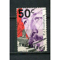 Нидерланды - 1980 - Питер Йеллес Трульстра 50С - [Mi.1152] - 1 марка. Гашеная.  (Лот 47HP)-T2P41