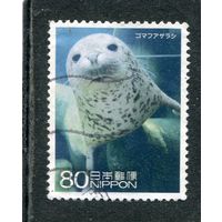 Япония. Фауна. Ларга, пестрая нерпа