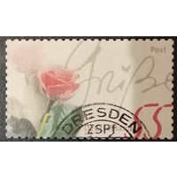 Германия 2006. Роза