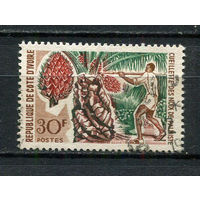 Кот-д 'Ивуар - 1967 - Сбор пальмовых ядер 30Fr - [Mi.313] - 1 марка. Гашеная.  (Лот 38HS)-TG3P11