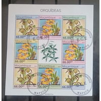 ЛИСТ ФЛОРА ЦВЕТЫ ГРИБЫ  СТО