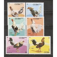 ФФ1 Куба 1981 Петухи