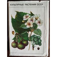 Культурные растения СССР