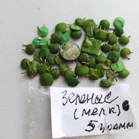 Зеленые керамические (мелкие) конденсаторы (КМ), общей группы +5бонус, см.фото...5 грамм