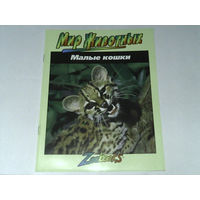 000167/МАЛЫЕ КОШКИ