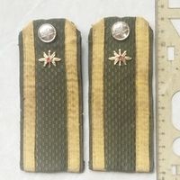 Погоны (погончики) курсанта военной академии ВС Беларуси. Начало 200-х.