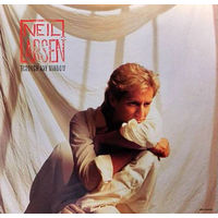Neil Larsen – Through Any Window, LP 1987