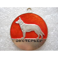 Экстерьер.