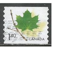 Канада. Символика. Кленовый лист. 2003г. Mi#2163 BD.