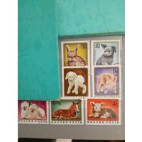 Фауна на почтовых марках