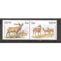ФФ1 Россия 1999 Фауна