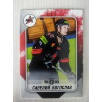 Савелий Богослав / ХК Авиатор