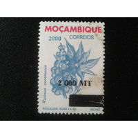 Мозамбик, 2000. Растение, надпечатка