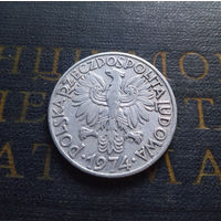 5 злотых 1974 Польша #01