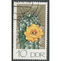 ГДР. Цветы. Кактусы. 1974г. Mi#1923.