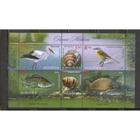 ФФ1 Молдова 2014 Фауна