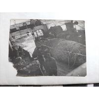 Фото трал с рыбой СССР