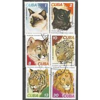 Куба. Кошки. 1977г. Mi#2257-62. Серия.