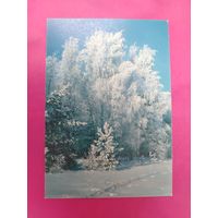 С новым годом! Чистая. 1990 года. Фото Дорожинского. *395.