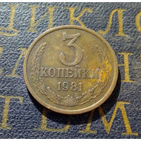 3 копейки 1981 СССР #23