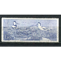 Швеция - 1978 - Птицы 1,30Kr - [Mi.1023] - 1 марка. Гашеная.  (Лот 60HP)-T2P42