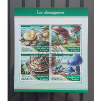 ЛИСТ ФЛОРА ЦВЕТЫ ГРИБЫ  СТО